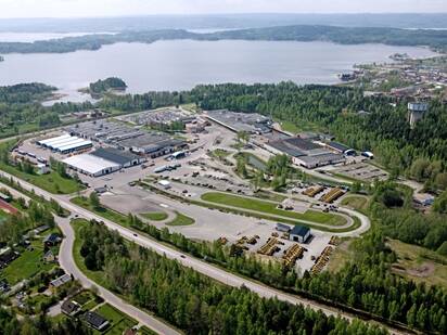Arvika plant